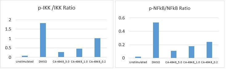 https://cdn.ncbi.nlm.nih.gov/pmc/blobs/e28b/9427103/4565bb63edd4/elife-78136-sa2-fig1.jpg