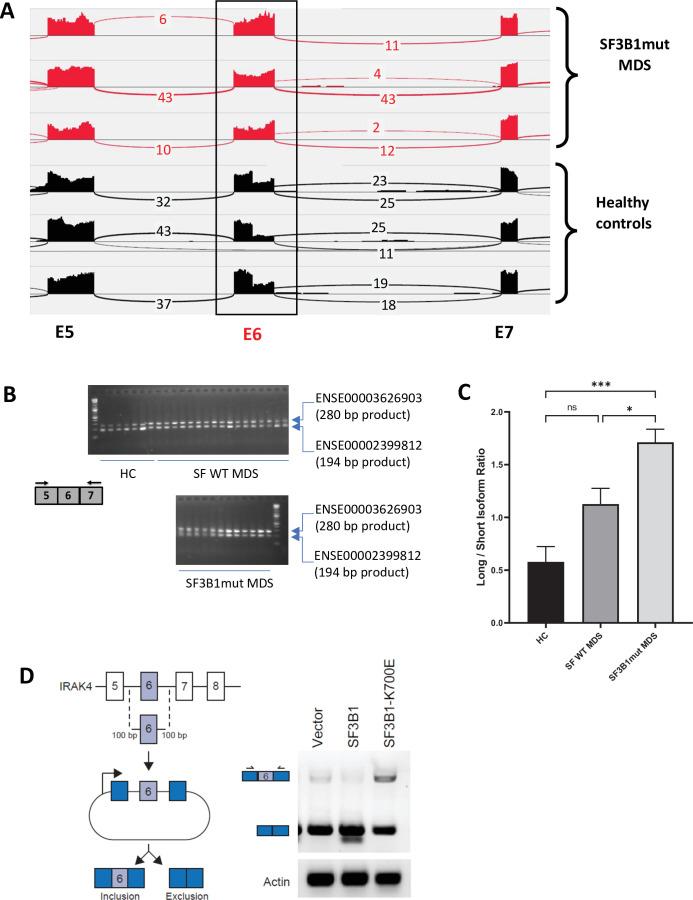 https://cdn.ncbi.nlm.nih.gov/pmc/blobs/e28b/9427103/5b260bbe9d49/elife-78136-fig1.jpg