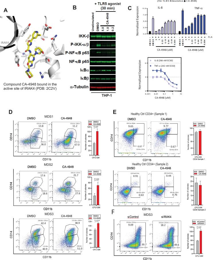 https://cdn.ncbi.nlm.nih.gov/pmc/blobs/e28b/9427103/5d23bcec31aa/elife-78136-fig4.jpg