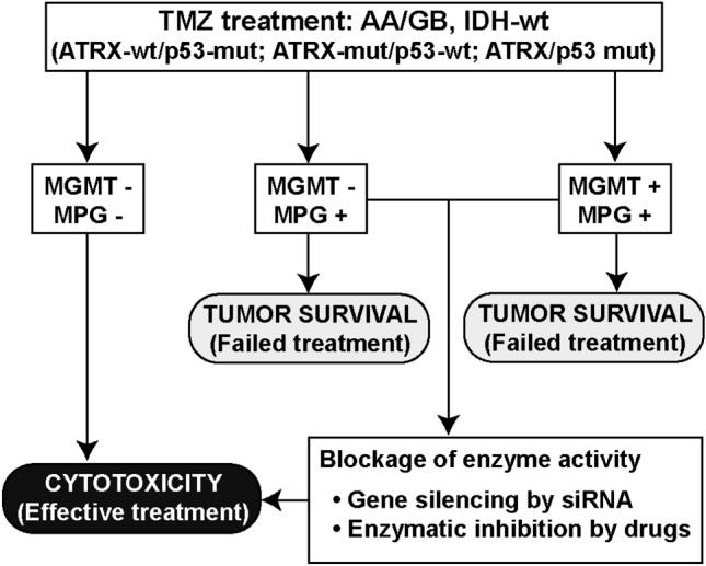 https://cdn.ncbi.nlm.nih.gov/pmc/blobs/e28e/7747563/b2e29ea300b4/41598_2020_78868_Fig4_HTML.jpg
