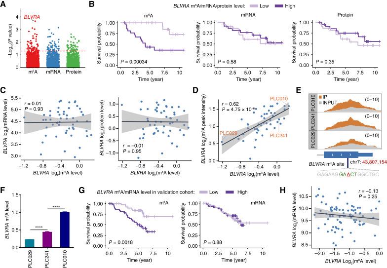 https://cdn.ncbi.nlm.nih.gov/pmc/blobs/e293/11528209/11f6213d27d3/cd-23-1212fig4.jpg