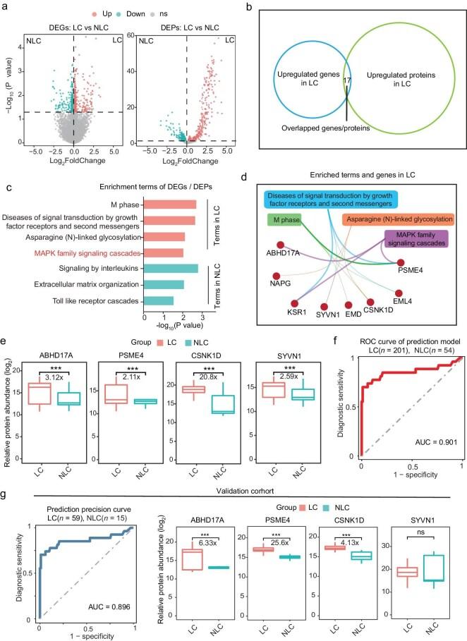 https://cdn.ncbi.nlm.nih.gov/pmc/blobs/e294/12365753/9badf1df9513/nwae410fig2.jpg