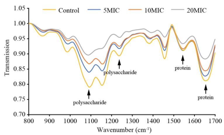 https://cdn.ncbi.nlm.nih.gov/pmc/blobs/e2c3/9736361/d7ad6714c24c/foods-11-03900-g010.jpg