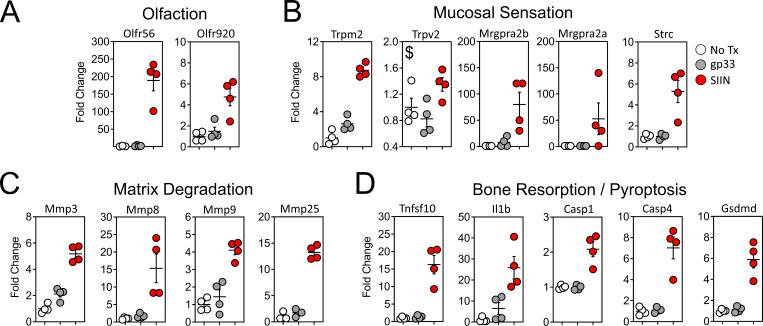 https://cdn.ncbi.nlm.nih.gov/pmc/blobs/e2da/10130744/6d4f8330805f/JEM_20221853_Fig7.jpg