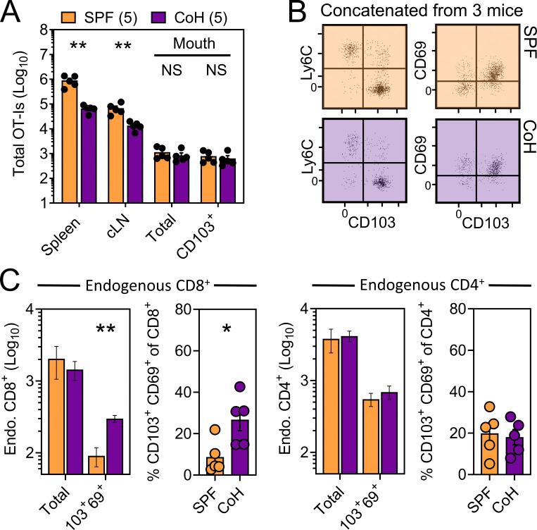 https://cdn.ncbi.nlm.nih.gov/pmc/blobs/e2da/10130744/fe18dc32e8c9/JEM_20221853_FigS1.jpg