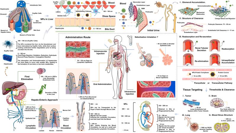 https://cdn.ncbi.nlm.nih.gov/pmc/blobs/e2ed/11000120/2001d1d8c692/gr9.jpg