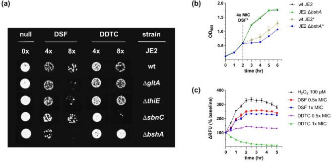 https://cdn.ncbi.nlm.nih.gov/pmc/blobs/e2f6/12053631/c1b35035abb5/41598_2025_78_Fig6_HTML.jpg