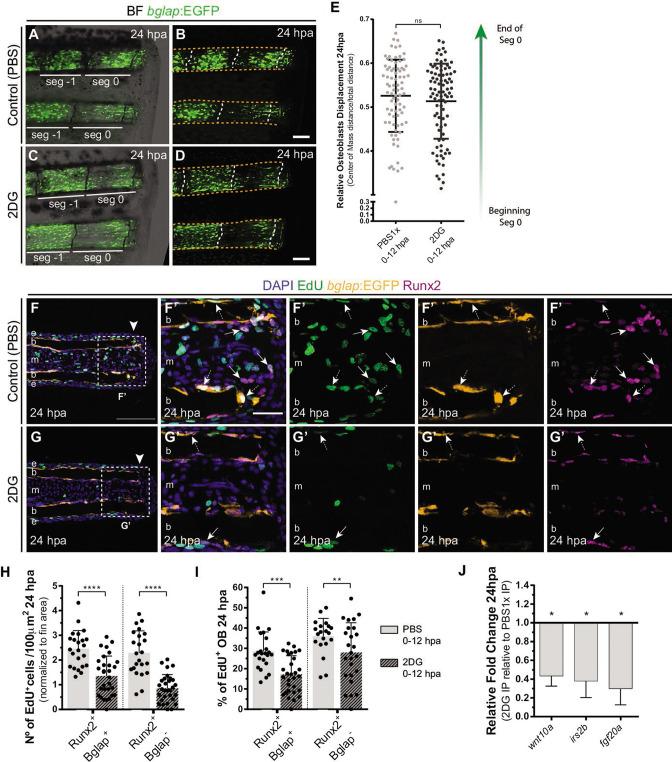 https://cdn.ncbi.nlm.nih.gov/pmc/blobs/e304/9395193/78f8921475b9/elife-76987-fig5.jpg