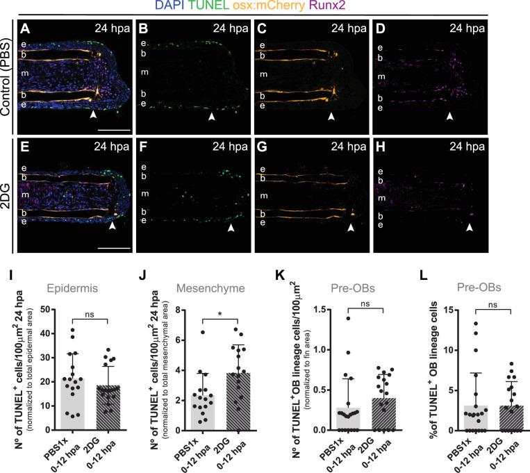 https://cdn.ncbi.nlm.nih.gov/pmc/blobs/e304/9395193/bdbcd5a8d07e/elife-76987-fig5-figsupp2.jpg