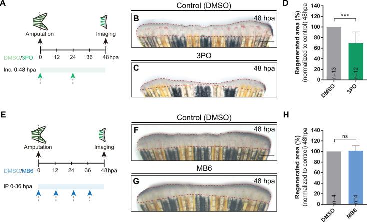 https://cdn.ncbi.nlm.nih.gov/pmc/blobs/e304/9395193/c3db52af0650/elife-76987-fig3-figsupp1.jpg