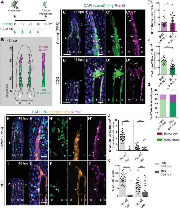 https://cdn.ncbi.nlm.nih.gov/pmc/blobs/e304/9395193/ef82836f3965/elife-76987-fig6.jpg