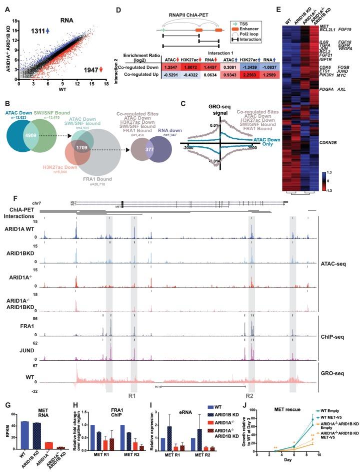 https://cdn.ncbi.nlm.nih.gov/pmc/blobs/e331/5643100/19c55b848edc/elife-30506-fig5.jpg