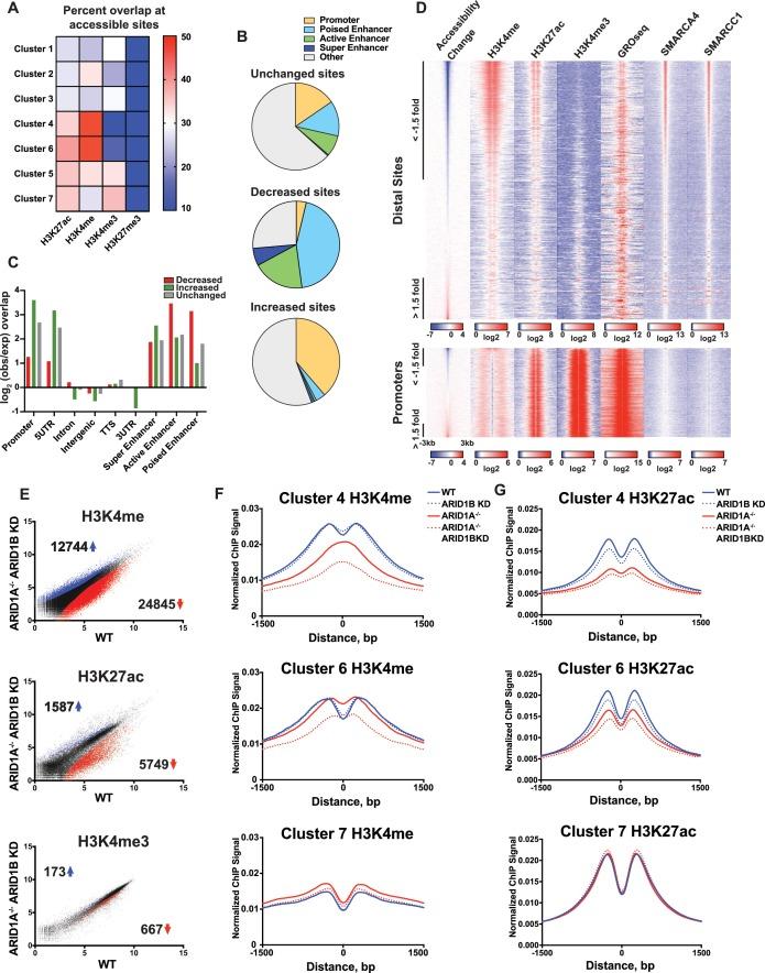 https://cdn.ncbi.nlm.nih.gov/pmc/blobs/e331/5643100/1f1f6330e512/elife-30506-fig3.jpg