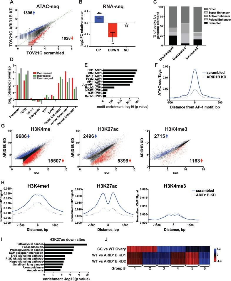 https://cdn.ncbi.nlm.nih.gov/pmc/blobs/e331/5643100/71cc03943b89/elife-30506-fig7.jpg