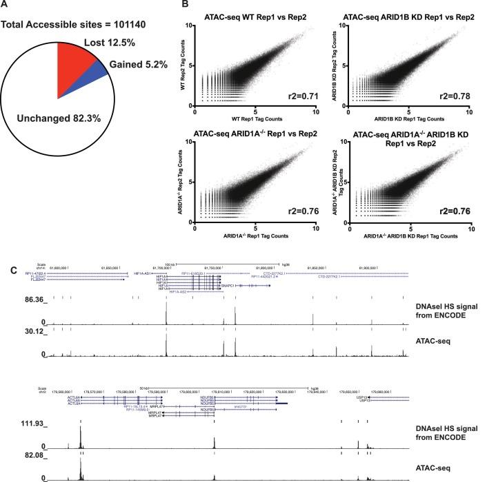 https://cdn.ncbi.nlm.nih.gov/pmc/blobs/e331/5643100/874158b21663/elife-30506-fig1-figsupp2.jpg