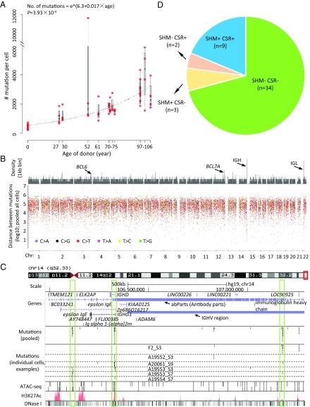 https://cdn.ncbi.nlm.nih.gov/pmc/blobs/e332/6500118/b7f2c882b215/pnas.1902510116fig01.jpg