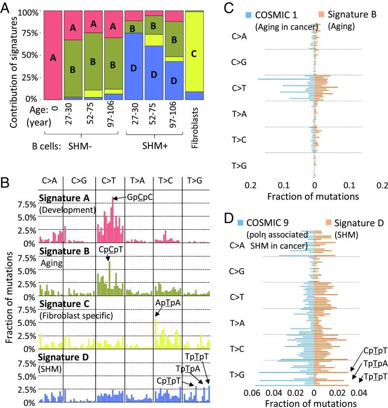 https://cdn.ncbi.nlm.nih.gov/pmc/blobs/e332/6500118/ec73121a3eb7/pnas.1902510116fig02.jpg