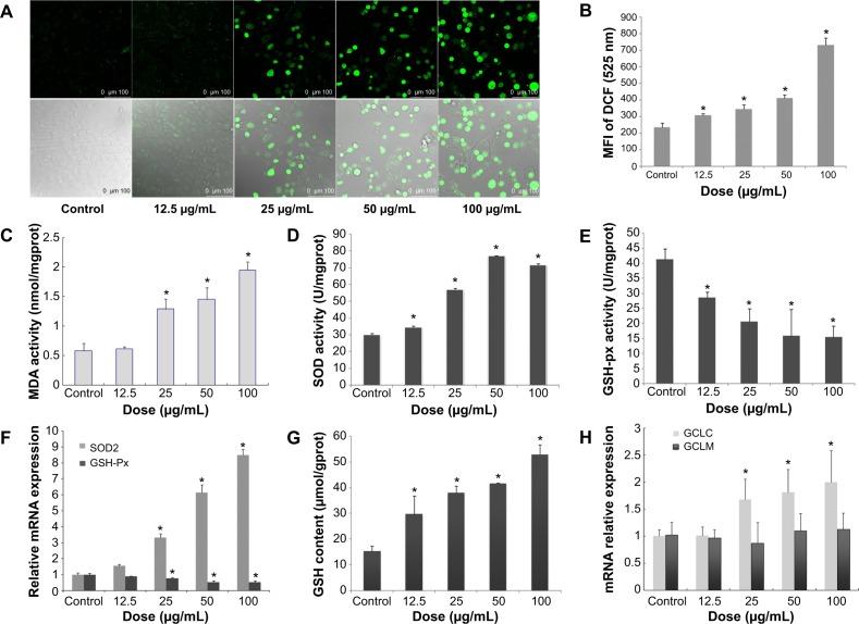 https://cdn.ncbi.nlm.nih.gov/pmc/blobs/e343/4345992/0feb69ceb559/ijn-10-1463Fig3.jpg