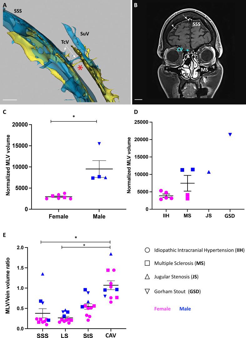 https://cdn.ncbi.nlm.nih.gov/pmc/blobs/e34b/9253621/c82312eb8030/JEM_20220035_FigS5.jpg