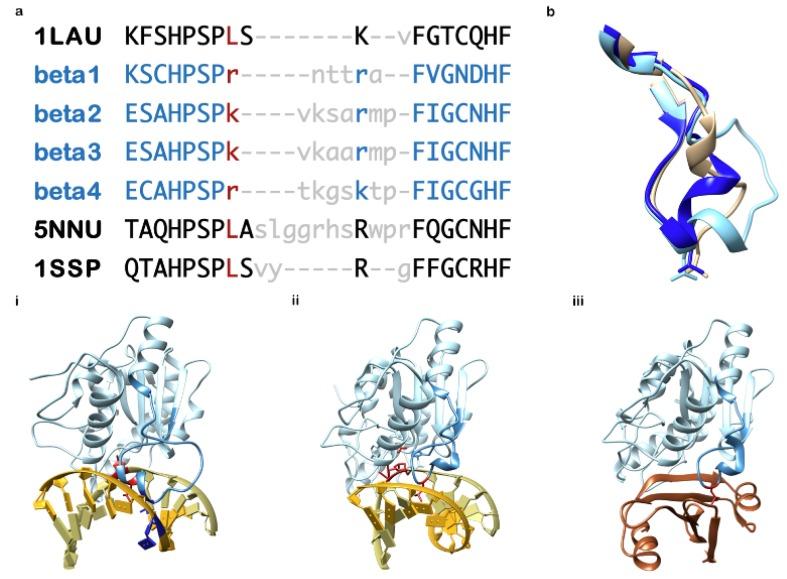 https://cdn.ncbi.nlm.nih.gov/pmc/blobs/e359/7143999/4163f743b191/microorganisms-08-00461-g005.jpg