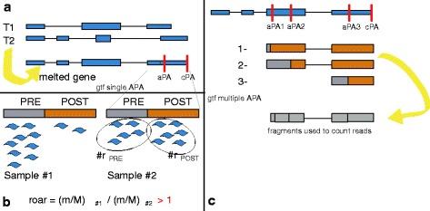 https://cdn.ncbi.nlm.nih.gov/pmc/blobs/e35c/5069797/276c3188c596/12859_2016_1254_Fig2_HTML.jpg