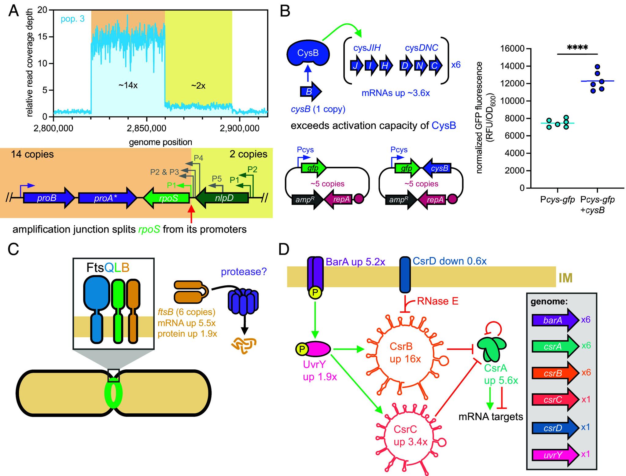 https://cdn.ncbi.nlm.nih.gov/pmc/blobs/e367/12107188/299b72162e8e/pnas.2422424122fig06.jpg