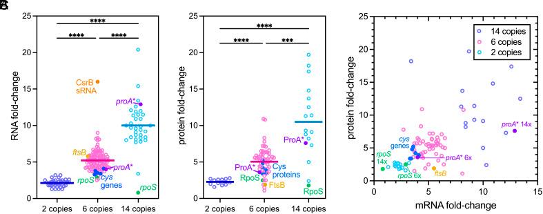 https://cdn.ncbi.nlm.nih.gov/pmc/blobs/e367/12107188/2d75ad25f0bc/pnas.2422424122fig05.jpg