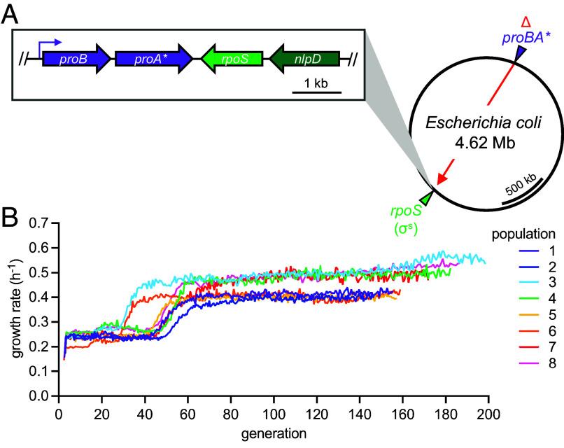 https://cdn.ncbi.nlm.nih.gov/pmc/blobs/e367/12107188/f86a83ebb799/pnas.2422424122fig03.jpg