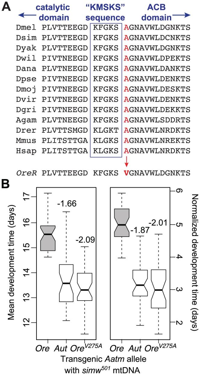 https://cdn.ncbi.nlm.nih.gov/pmc/blobs/e367/3561102/090c800f327d/pgen.1003238.g005.jpg