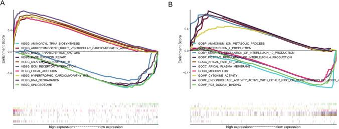 https://cdn.ncbi.nlm.nih.gov/pmc/blobs/e369/12065698/7c8538009e67/12672_2025_2581_Fig11_HTML.jpg