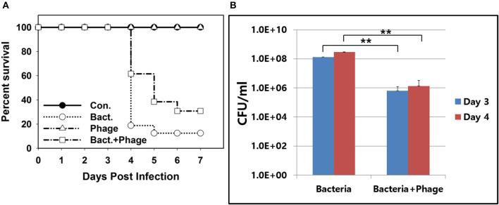 https://cdn.ncbi.nlm.nih.gov/pmc/blobs/e38a/5932359/c8d7803f9113/fmicb-09-00696-g0006.jpg