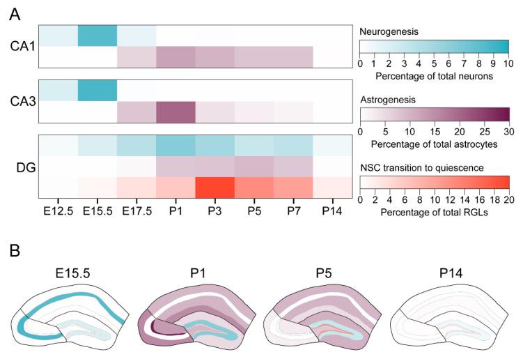 https://cdn.ncbi.nlm.nih.gov/pmc/blobs/e39e/7760658/a5dff31d9645/brainsci-10-00909-g006.jpg