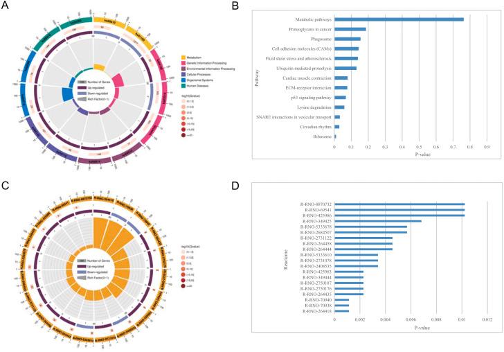 https://cdn.ncbi.nlm.nih.gov/pmc/blobs/e3b5/9341448/8f2c6bb2754f/peerj-10-13783-g005.jpg