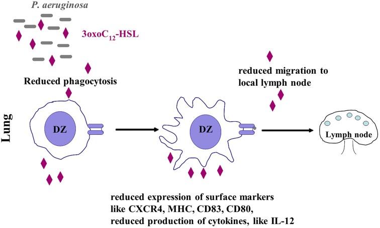 https://cdn.ncbi.nlm.nih.gov/pmc/blobs/e3cb/11149725/97efc91c25b9/fiae076fig3.jpg