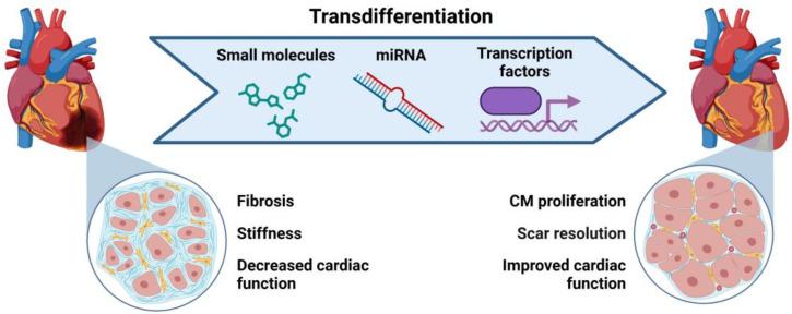 https://cdn.ncbi.nlm.nih.gov/pmc/blobs/e3fc/11988544/83c880ed63b6/ijms-26-03063-g004.jpg
