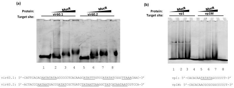 https://cdn.ncbi.nlm.nih.gov/pmc/blobs/e415/7277663/53e7099c2af2/biomolecules-10-00788-g004.jpg