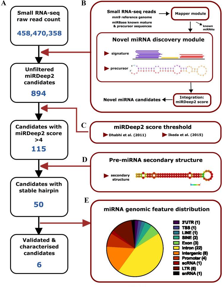 https://cdn.ncbi.nlm.nih.gov/pmc/blobs/e438/10890980/53e65cfcdb93/11010_2023_4730_Fig1_HTML.jpg