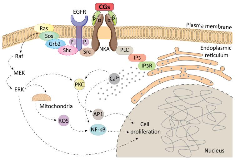https://cdn.ncbi.nlm.nih.gov/pmc/blobs/e44d/8146282/d5f5c8740563/biomolecules-11-00659-g002.jpg