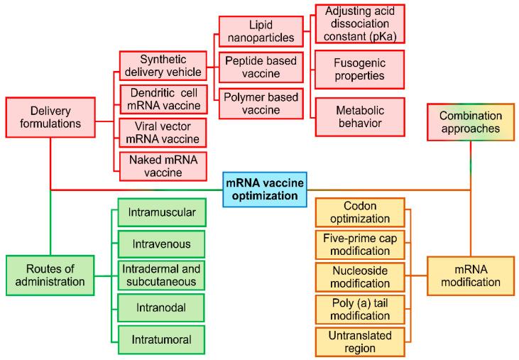 https://cdn.ncbi.nlm.nih.gov/pmc/blobs/e48a/12389219/ed680ddf7870/pharmaceutics-17-00992-g003.jpg