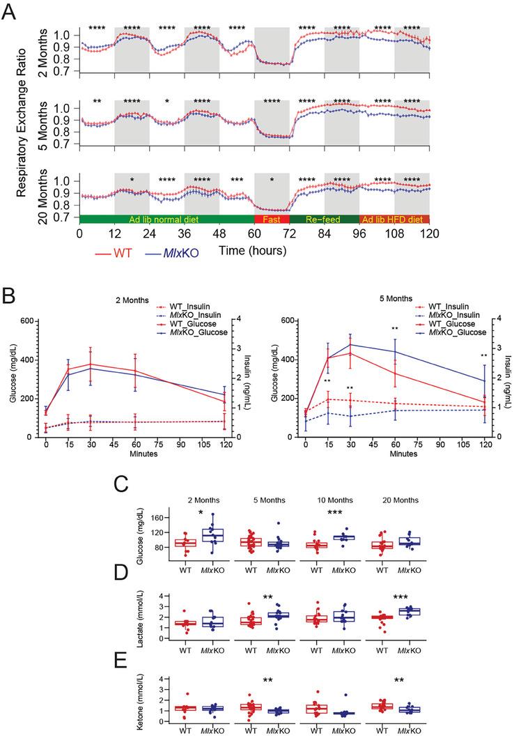 https://cdn.ncbi.nlm.nih.gov/pmc/blobs/e48b/11425880/bfd2ccf88c31/ADVS-11-2401593-g002.jpg