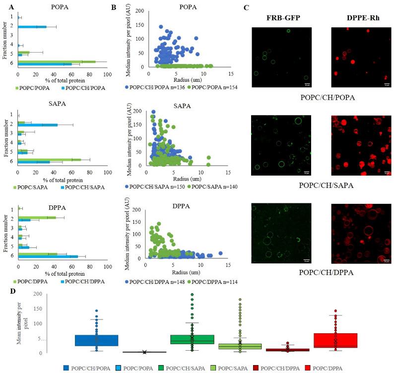 https://cdn.ncbi.nlm.nih.gov/pmc/blobs/e49f/8750377/8737b552b1d9/cells-11-00119-g002.jpg
