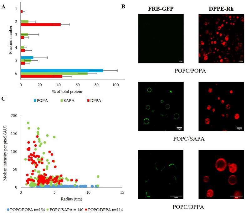 https://cdn.ncbi.nlm.nih.gov/pmc/blobs/e49f/8750377/8b95a2aa12d9/cells-11-00119-g001.jpg