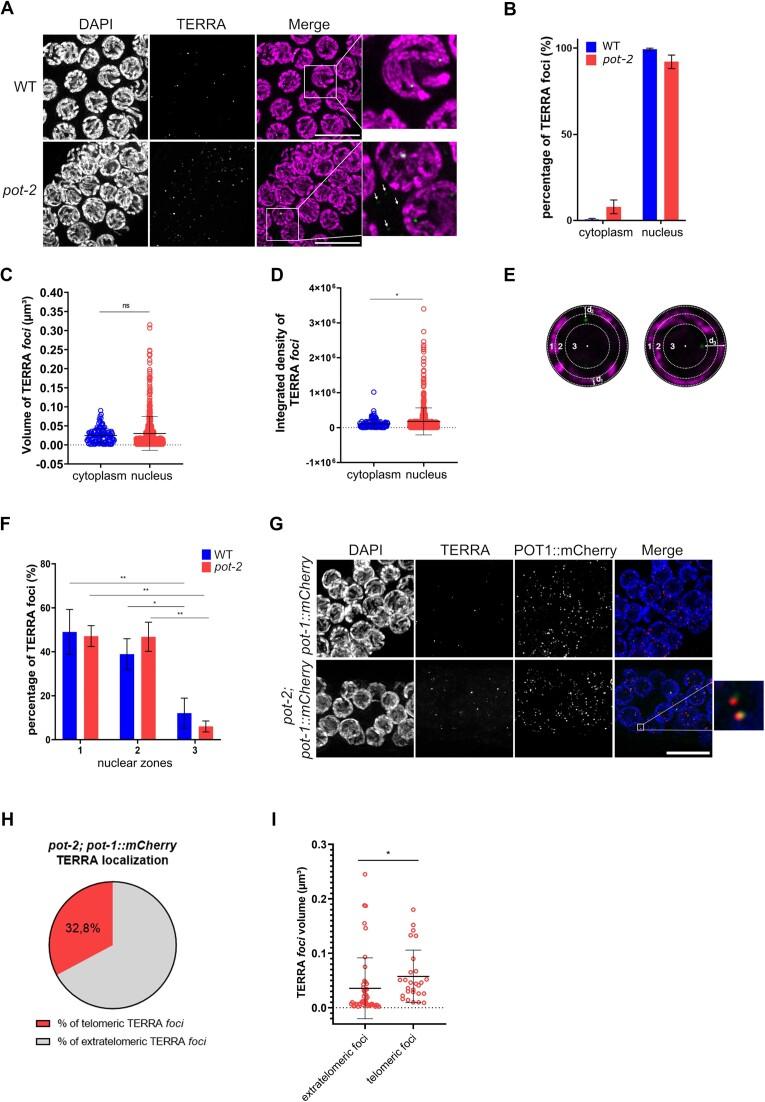 https://cdn.ncbi.nlm.nih.gov/pmc/blobs/e4ce/10602879/9692150fa166/gkad742fig3.jpg