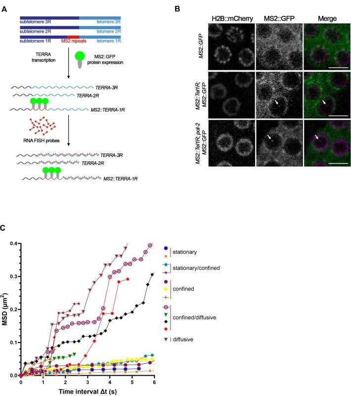 https://cdn.ncbi.nlm.nih.gov/pmc/blobs/e4ce/10602879/e226f0094fcb/gkad742fig4.jpg