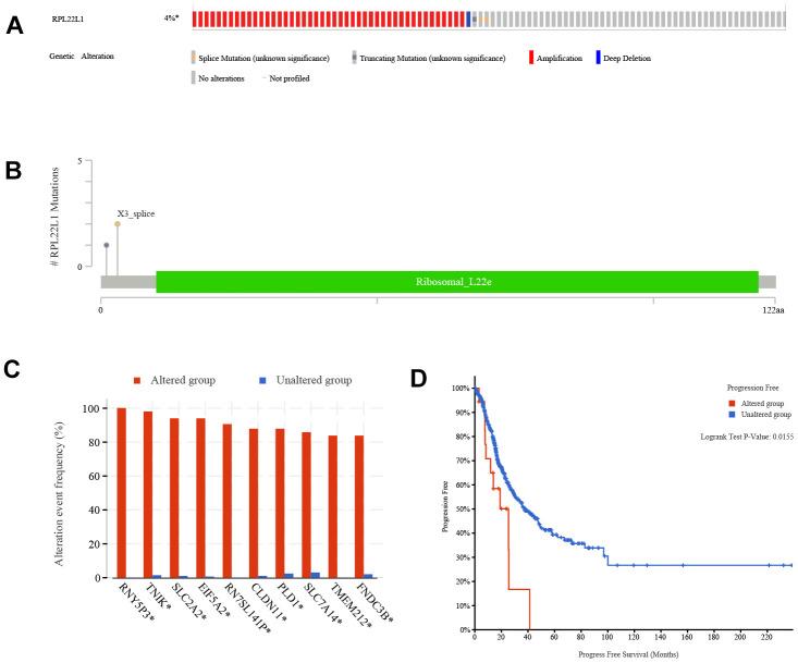 https://cdn.ncbi.nlm.nih.gov/pmc/blobs/e51d/11424578/0efc70c5a008/aging-16-206096-g007.jpg