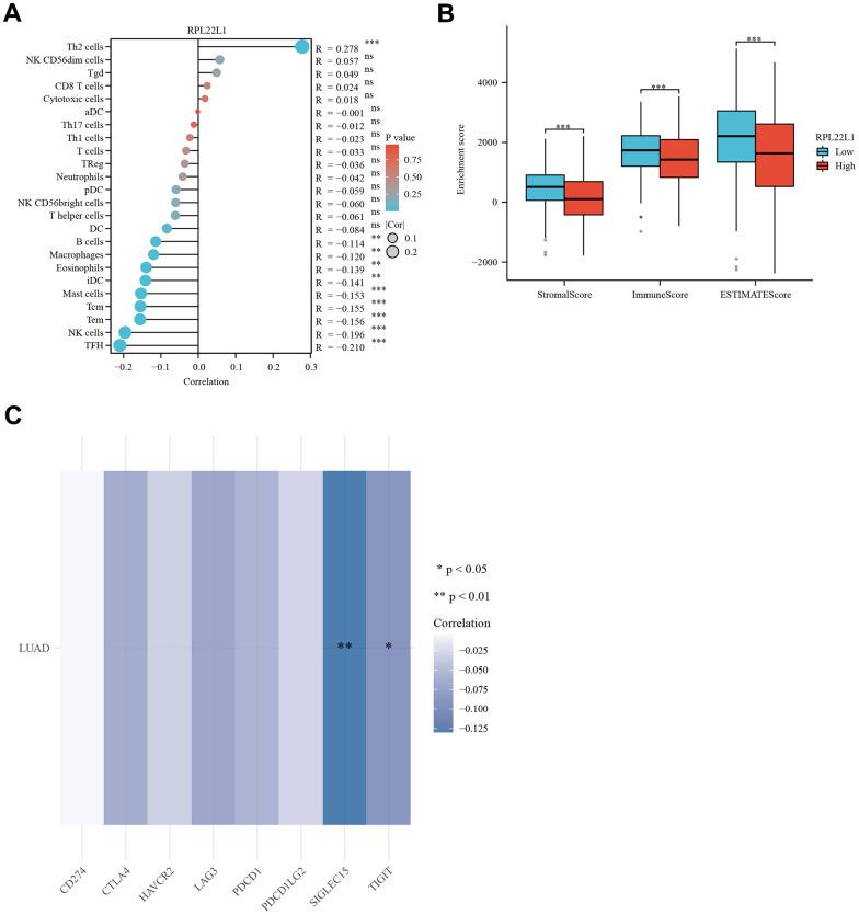 https://cdn.ncbi.nlm.nih.gov/pmc/blobs/e51d/11424578/996b3dd28467/aging-16-206096-g004.jpg