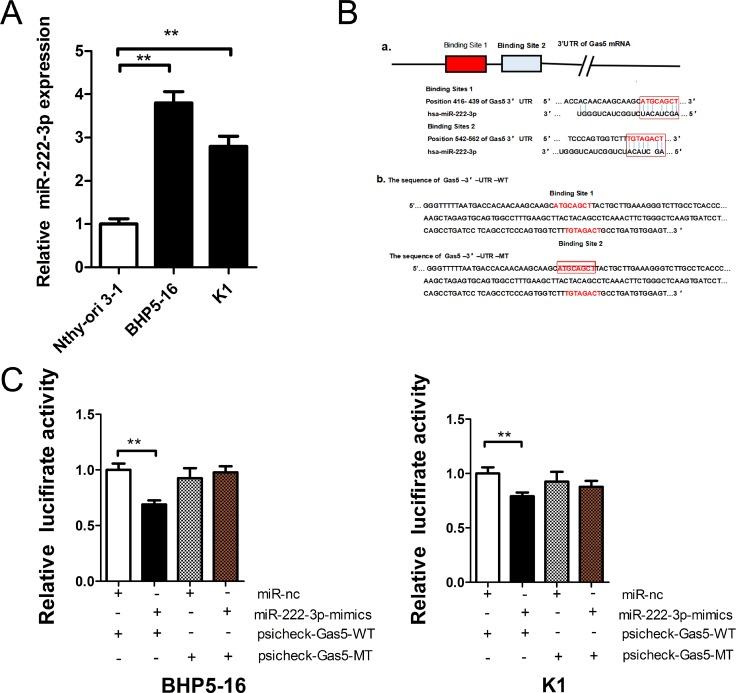https://cdn.ncbi.nlm.nih.gov/pmc/blobs/e52f/5790480/db88bcdfed4e/oncotarget-09-3519-g003.jpg