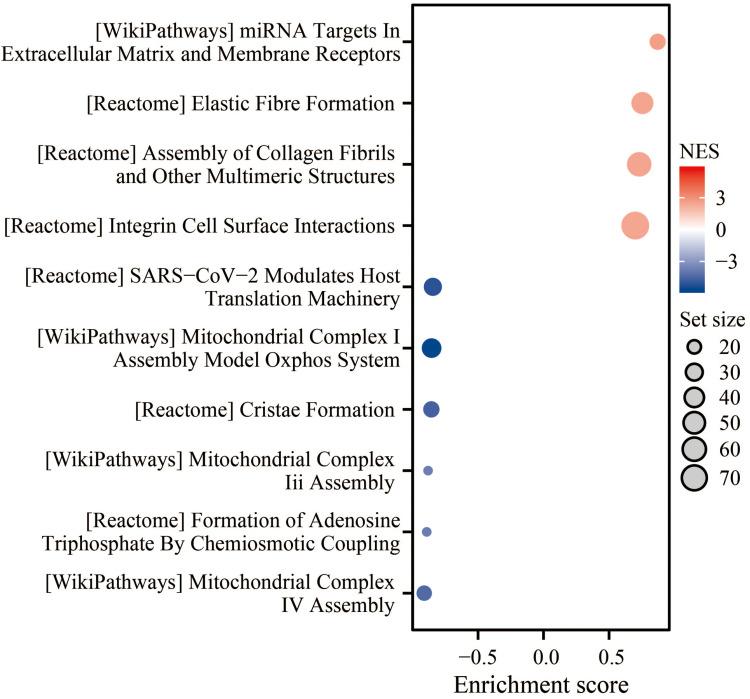 https://cdn.ncbi.nlm.nih.gov/pmc/blobs/e544/10224728/742fa52674ee/IJGM-16-1953-g0005.jpg