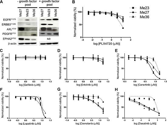 https://cdn.ncbi.nlm.nih.gov/pmc/blobs/e545/4467137/393d3571010c/oncotarget-06-5118-g005.jpg