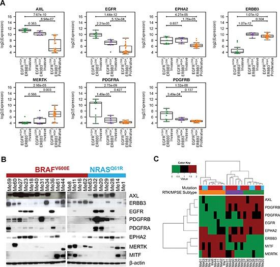 https://cdn.ncbi.nlm.nih.gov/pmc/blobs/e545/4467137/45d0ca954694/oncotarget-06-5118-g003.jpg